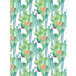 Paquet  de Feuille deco Cactus